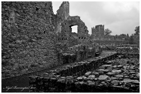 Kells Priory, June 2011