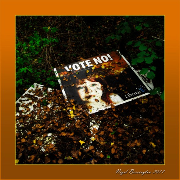 Vote No, vote Libertas