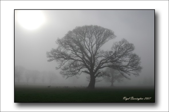 Digital image original