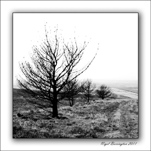 Brandon Hill Kilkeny highkey