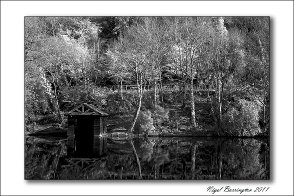 castlecomer Discovery park, woodland walks