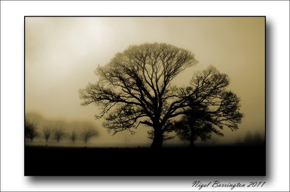 Coolagh Kilkenny, Nigel Borrington