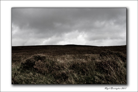 brandon hillKilkenny brandon hill Kilkenny