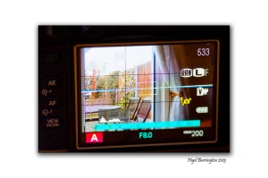 Fuji film X100 Review 9