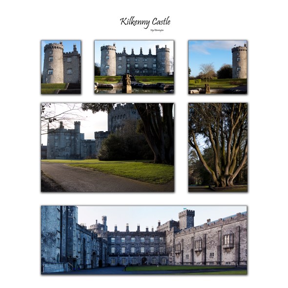 Kilkenny castle Pannel