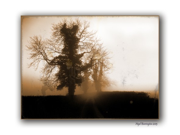 Misty Monday Mornings