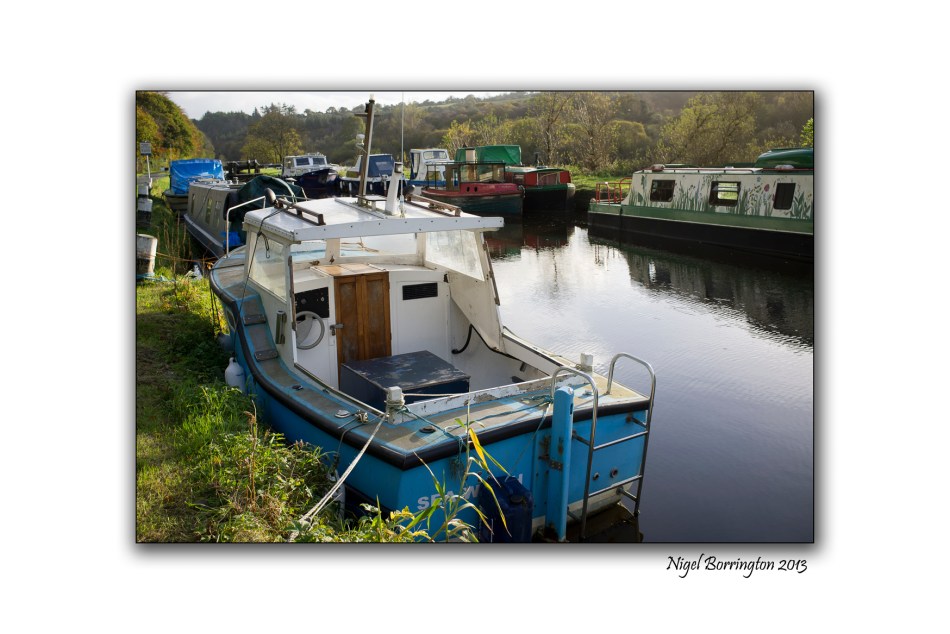 x100 landscape sample 2