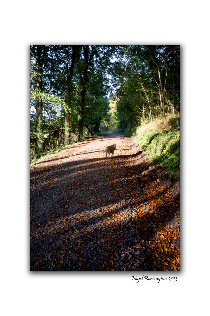 x100 landscape sample 4