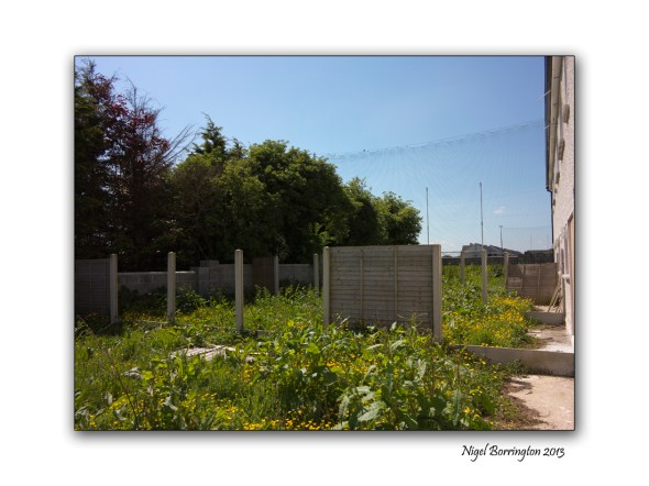 Ghost estate today 9