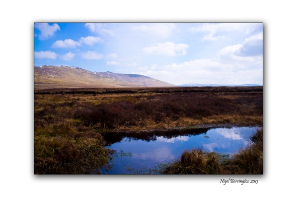 Irish bog lands 1