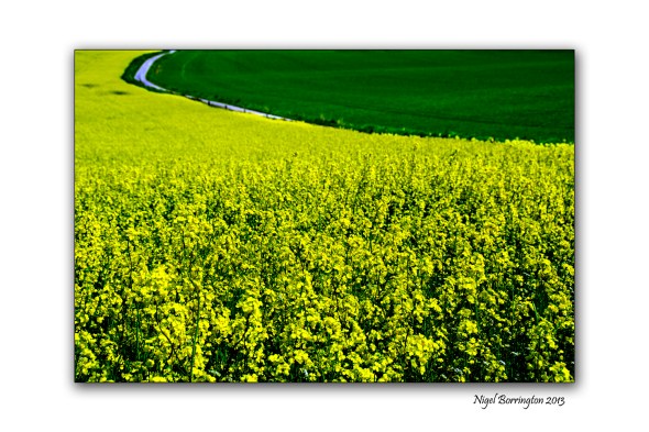 Kilkenny Landscape photography 1