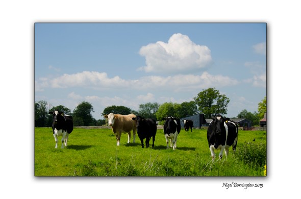 Kilkenny Landscape photography 2