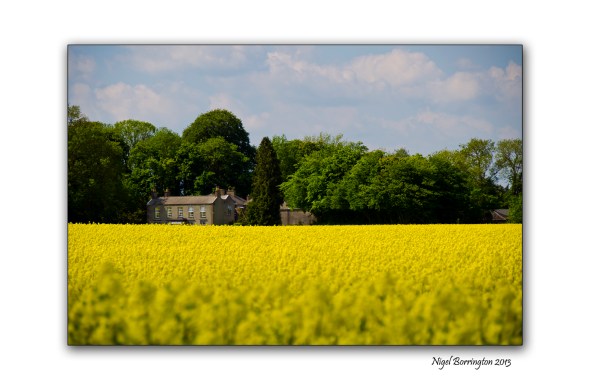 Kilkenny Landscape photography 5