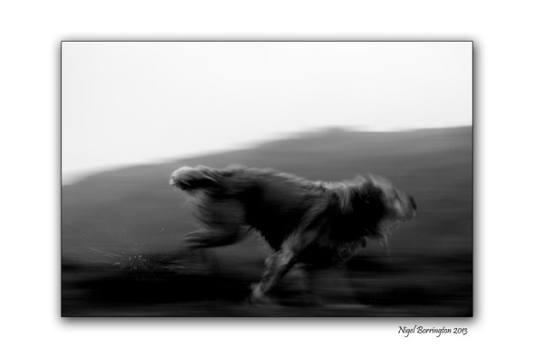 Molly in Motion 1