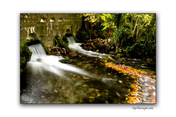 St Patricks Well Clonmel 122