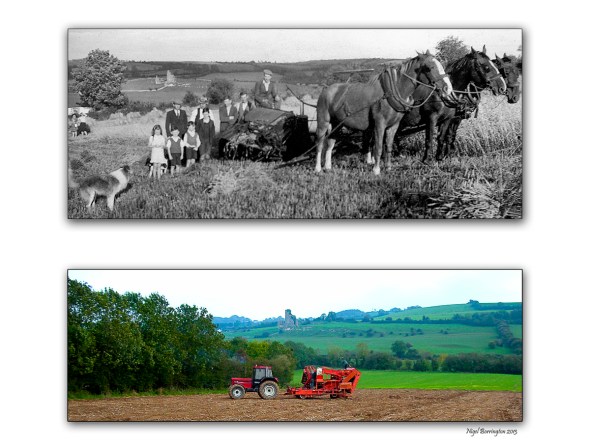This Old Potato Machine 60 years