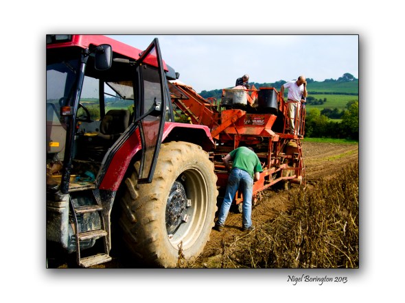 This Old Potato Machine 9