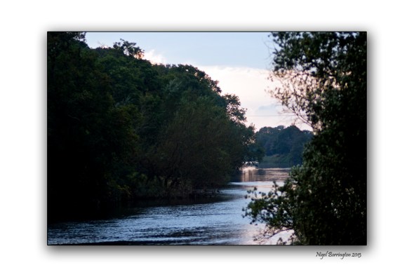 a morning by the river bank