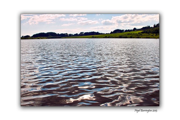 Images from the lake