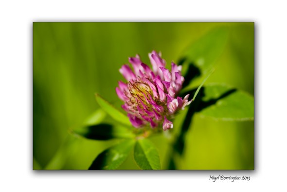 Irish Landscape photography 5