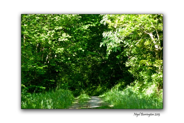 Irish Landscape photography 6