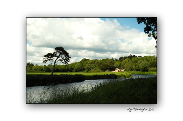 Its the weekend so find a river bank for a walk