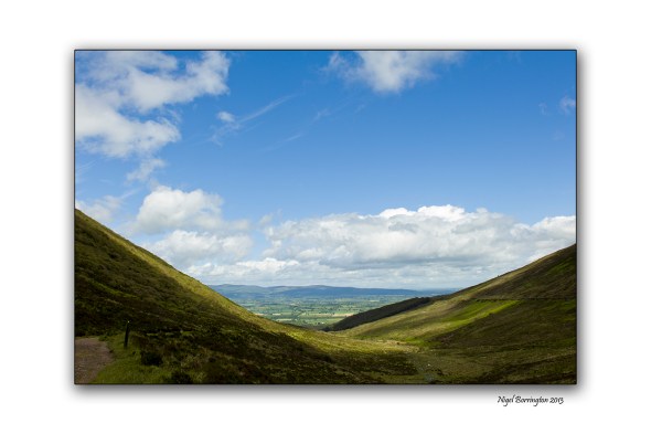 When Rhododendron Bloom at the Vee 200