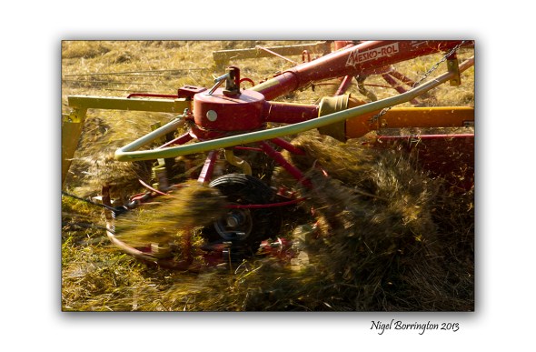 Images from the fields 2