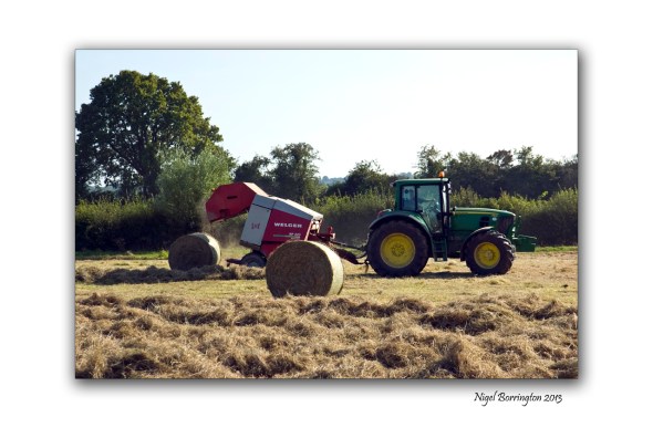 Images from the fields 5