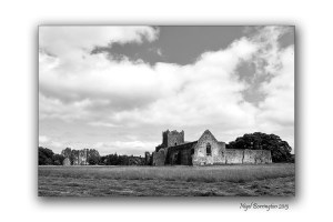 Kilcooley Abbey 6