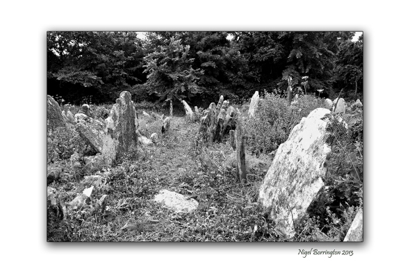 The forgotten at rest 6