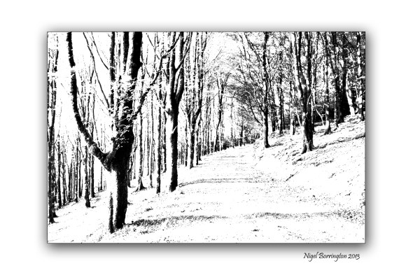 Woodland to Lino cuts image 1