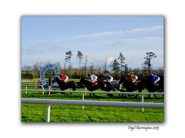 A day at the races 8