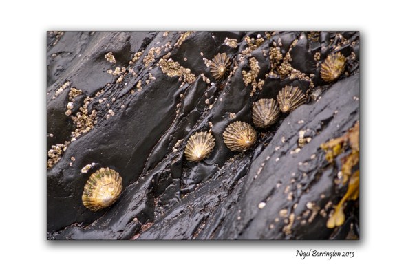 Boats strand county waterford 4