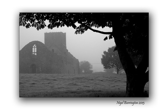 Friary Green Callan 2