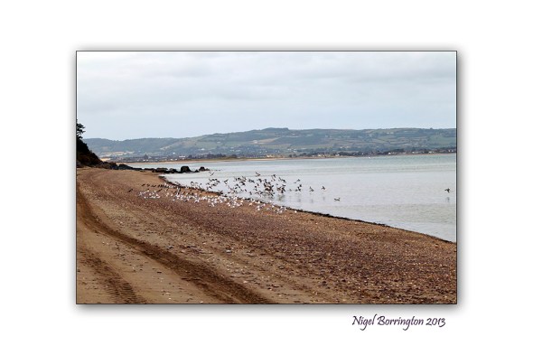 Its a september weekend 3