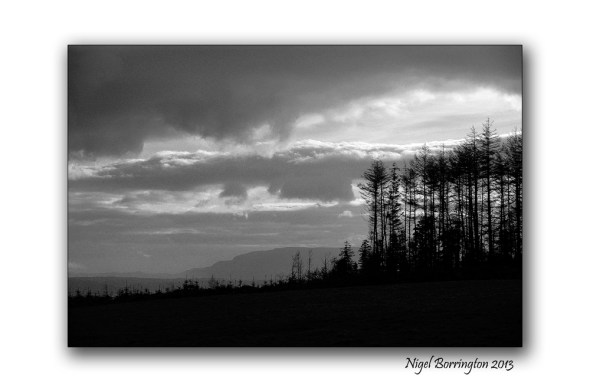 Kilkenny photography 4