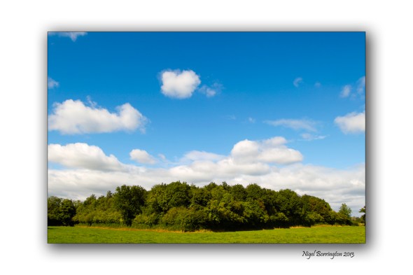 Kilkenny through the tress 13