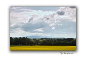 Kilree Round Tower Kilkenny 4