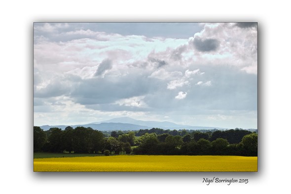 Kilree Round Tower Kilkenny 4