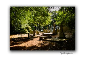 Kilree Round Tower Kilkenny 5