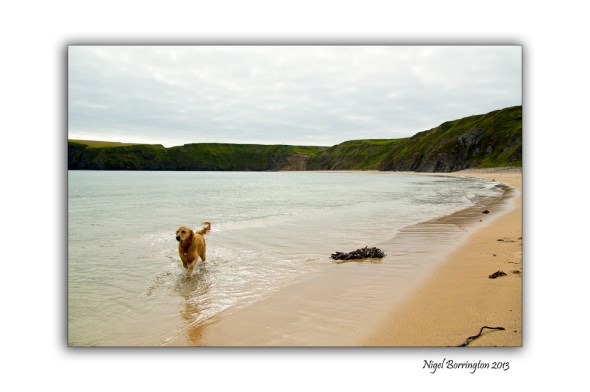 Mollys day at the beach 5