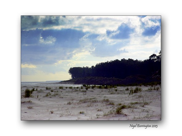 Wexford landscape photography the raven 1
