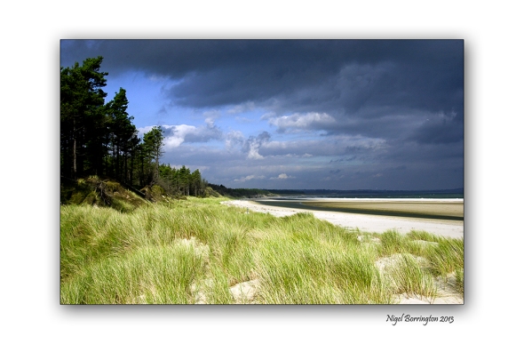 Wexford landscape photography the raven 2