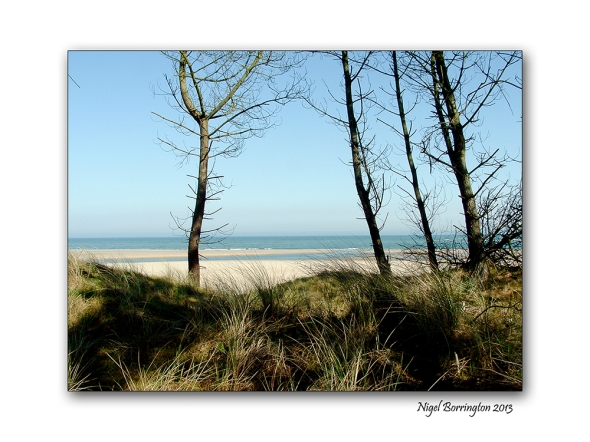 Wexford landscape photography the raven 3