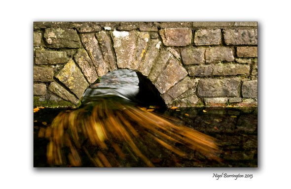 Fires of autumn time 5