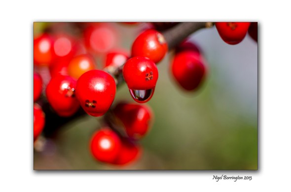 Get out and explore the season 1