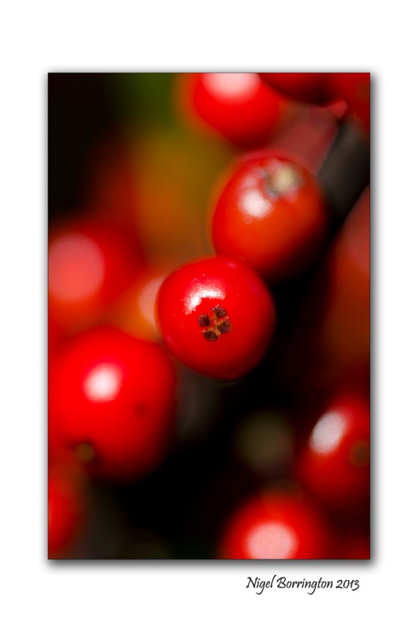 Get out and explore the season 2