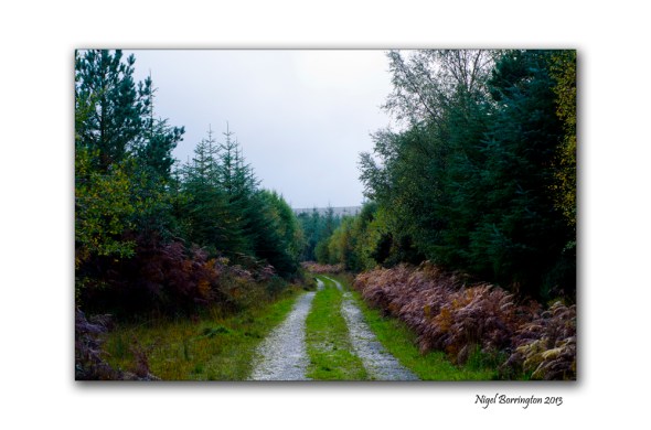 Get out and explore the season 5