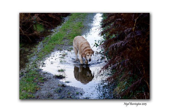 Get out and explore the season 6